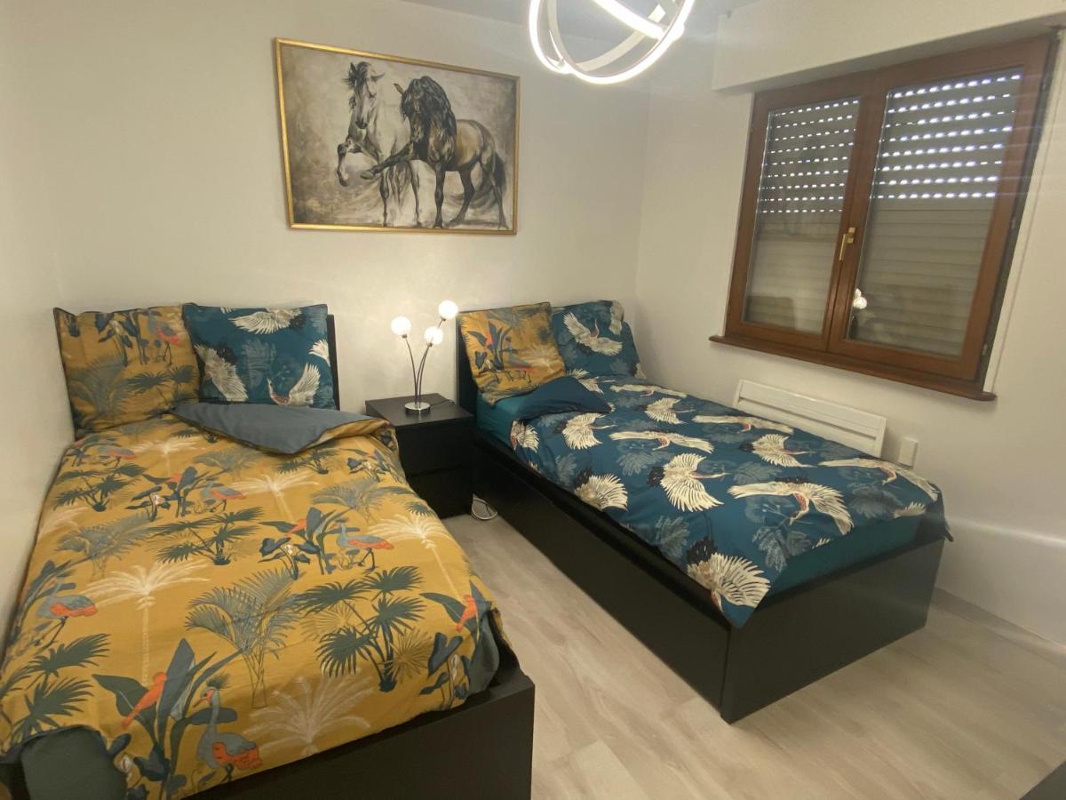 Mallo'S Lodge Avec Parking Gratuit Et 2 Balcons Кольмар Экстерьер фото